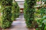 TRILOCALE FINEMENTE RISTRUTTURATO CON TERRAZZO E BOX